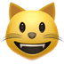 :smiley_cat: