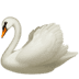 :swan: :swan: