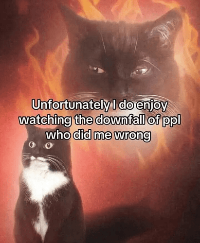 unfortunately-do-enjoy-watching-downfall-ppl-who-did-wrong