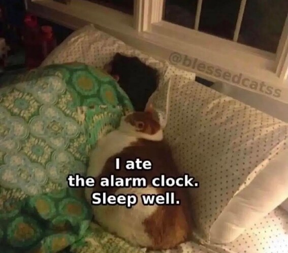 Screenshot_20231115_174301_YouTube