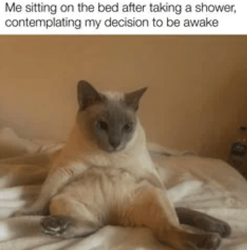 cat-sitting-on-bed-after-taking-shower-contemplating-my-decision-be-awake
