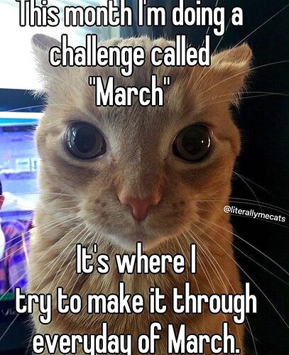 this-month-doing-challenge-called-march-literallymecats-s-where-try-make-through-everyday-march