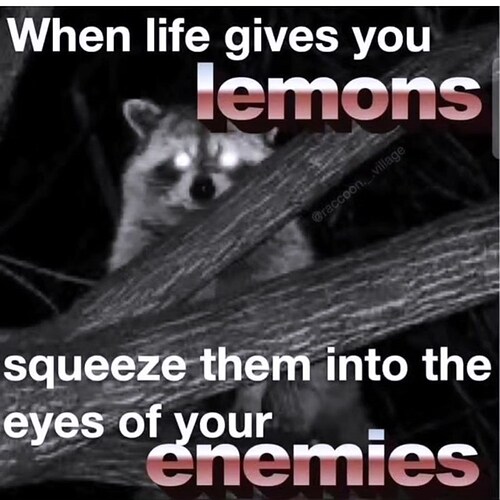 life-gives-lemons-raccoon-village-squeeze-them-into-eyes-enemies