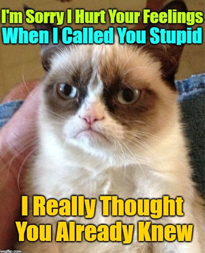sorry-hurt-feelings-called-stupid-imgflipcom-really-thought-already-knew