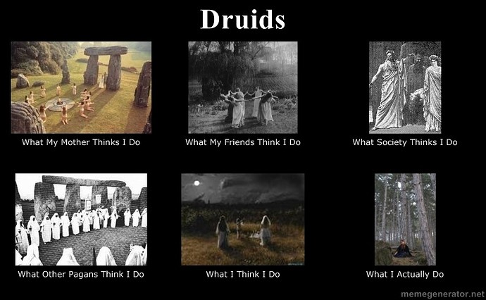 druid+meme2