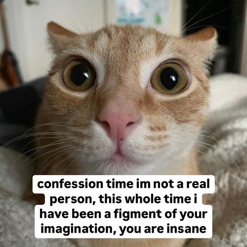 not-real-figment-of-imagination