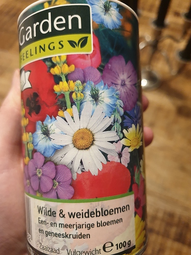 20190728_010242