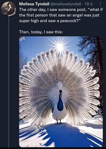 saw-someone-post-if-first-person-saw-an-angel-just-super-high-and-saw-peacock-then-today-saw-this