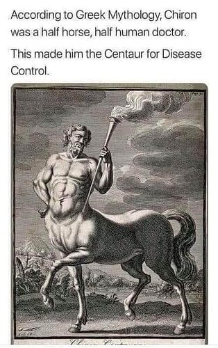 according-greek-mythology-chiron-half-horse-half-human-doctor-this-made-him-centaur-disease-control