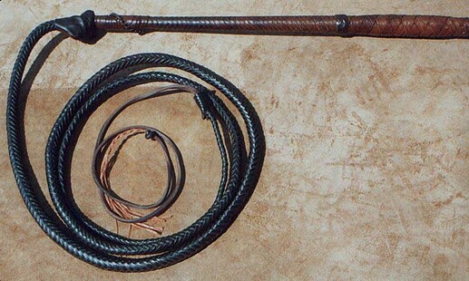 Stock Whip