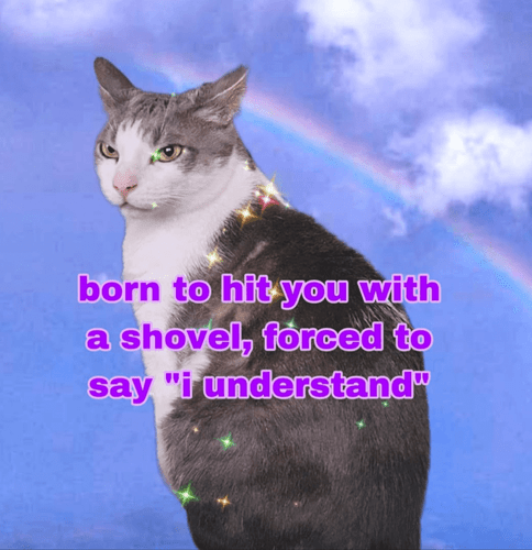 born-hit-with-shovel-forced-say-understand