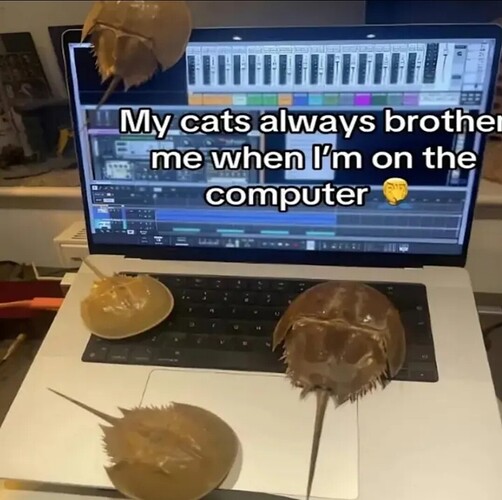 Screenshot_20250115_204707_YouTube
