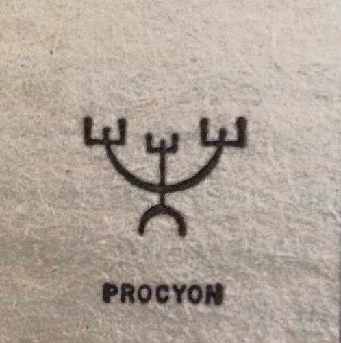 procyon
