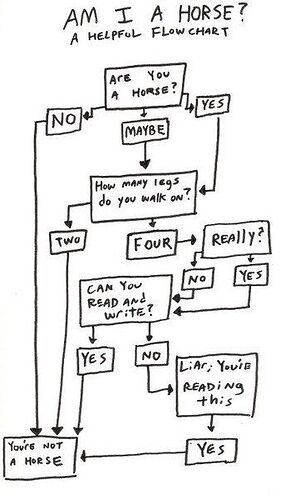 12-Am-I-a-horse-flowchart