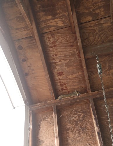 IMG_20210628_110838762