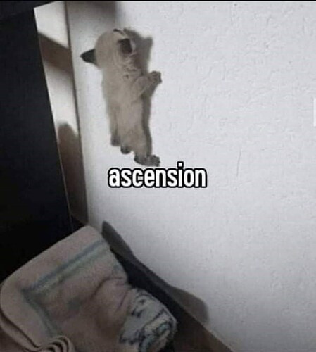 animal-ascension