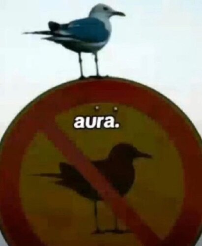 GnFS2zhWEAAaTrP