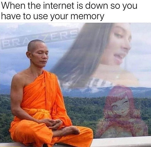 when-the-internet-is-down-so-you-have-to-use-your-memory-buddhist-monk-adult-sites