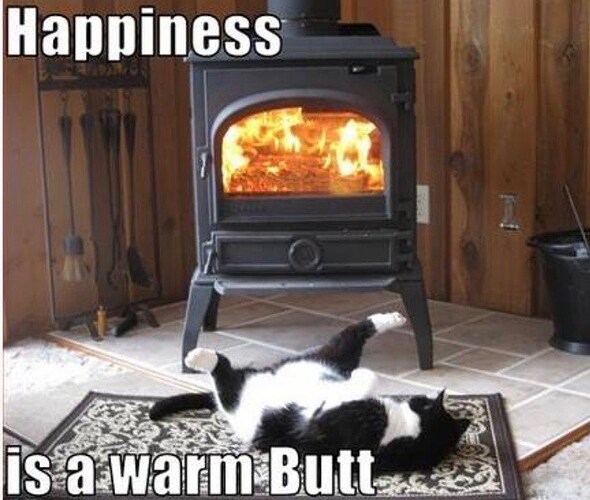 animal-happiness-is-warm-butt