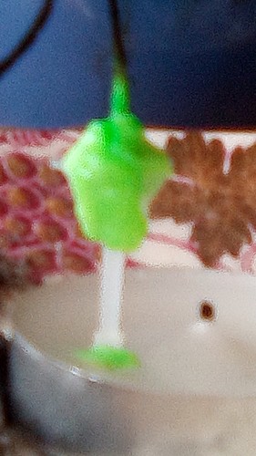 IMG_20210929_103108