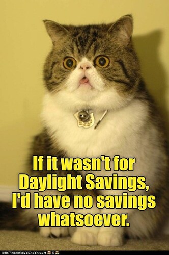 cat-i-know-people-like-that