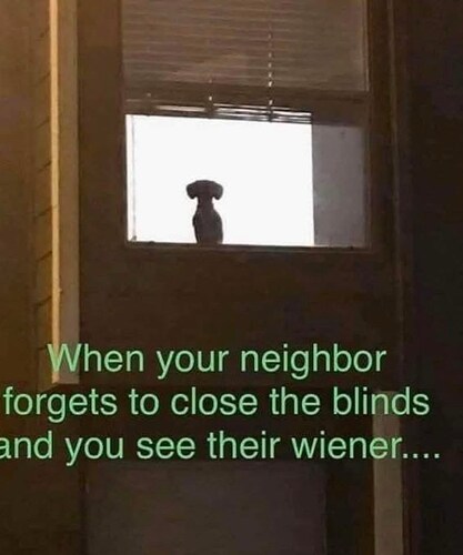 neighbor-forgets-close-blinds-and-see-their-wiener