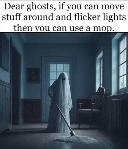 dear-ghosts-if-can-move-stuff-around-and-flicker-lights-then-can-use-mop