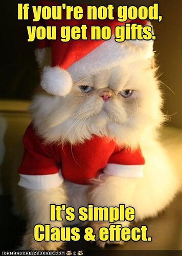 cat-its-not-rocket-science