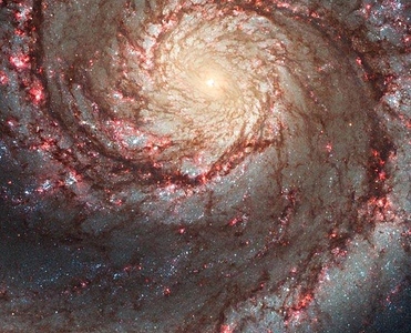 02bc385804a71f096b400ecd9869d310--spiral-galaxy-the-galaxy