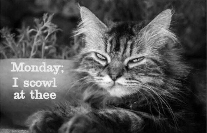 monday-scowl-at-thee