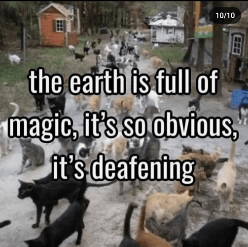 1010-earth-is-full-magic-s-so-obvious-s-deafening