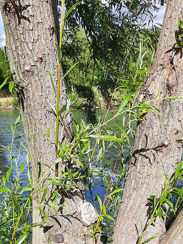20220716_180212~2