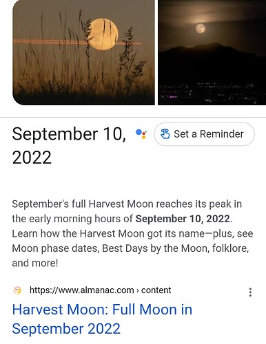 Screenshot_20220901-165535_Google