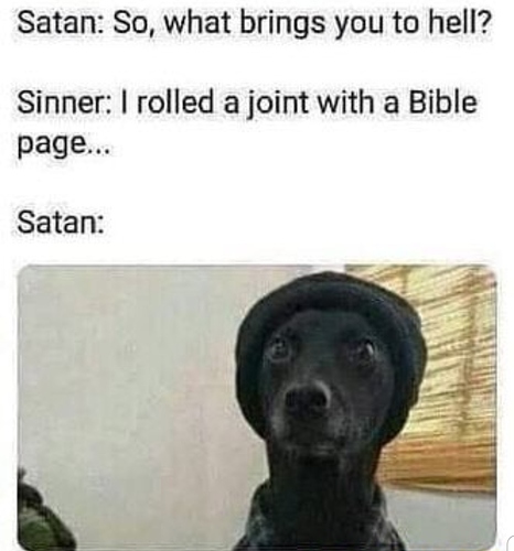 Screenshot_20190730-195219_iFunny