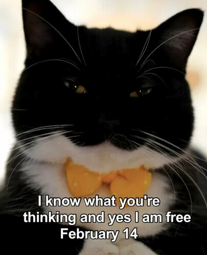 know-thinking-and-yes-am-free-february-14 (1)