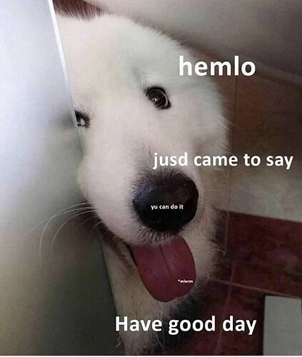 animal-hemlo-jusd-came-say-yu-can-do-mlerm-have-good-day