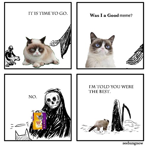 grumpy cat was I a good meme