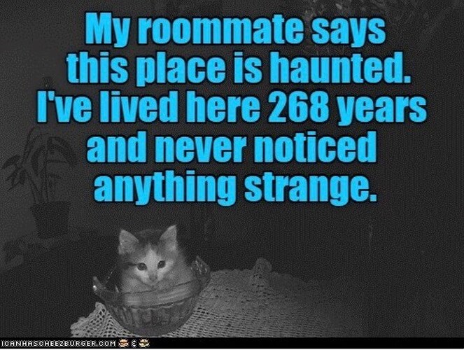 this-place-is-haunted-lived-here-268-years-and-never-noticed-anything-strange-icanhascheezburgercom