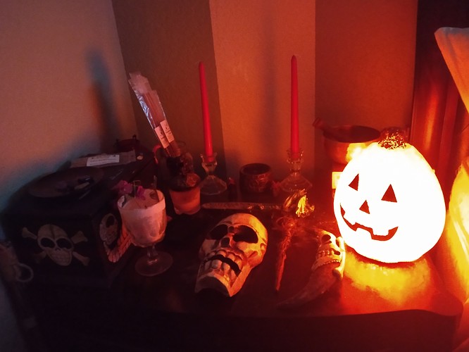 IMG_20210323_133026842