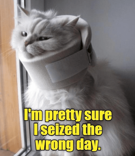 pretty-sure-seized-wrong-day