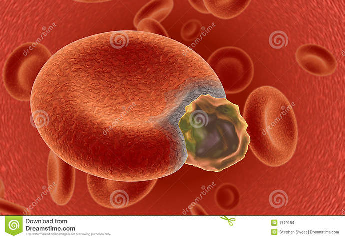 blood-cell-under-attack-1779184