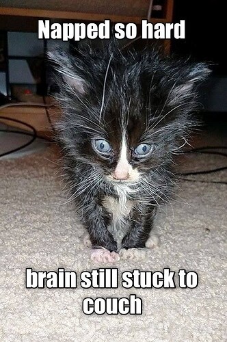 cant-even-count-to-3