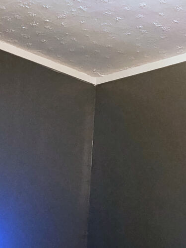 1000012531