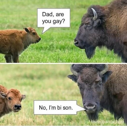 Screenshot_20250310_135233_Facebook