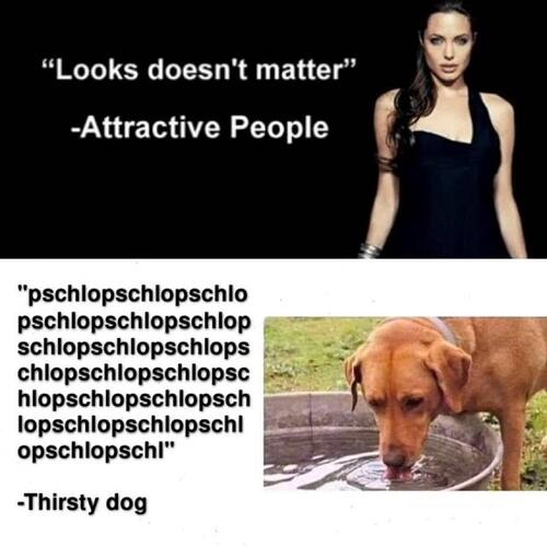 attractive-people-thirsty-dog