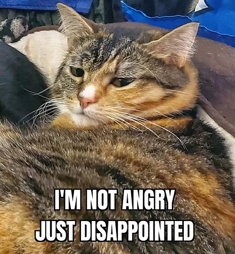cat-not-angry-just-disappointed