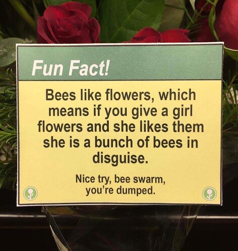 means-if-give-girl-flowers-and-she-likes-them-she-is-bunch-bees-disguise-nice-try-bee-swarm-dumped