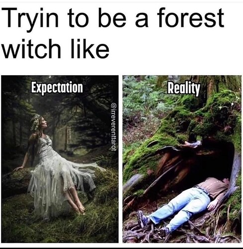 tryin-be-forest-witch-like-expectation-irreverenttarot-reality