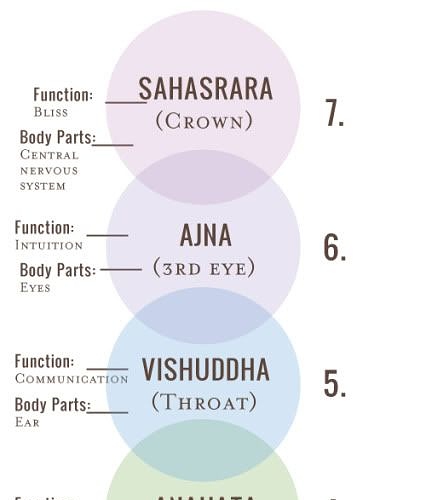 6e56c9427300c8f8178e7be68b440564