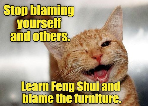 feline-feng-shui
